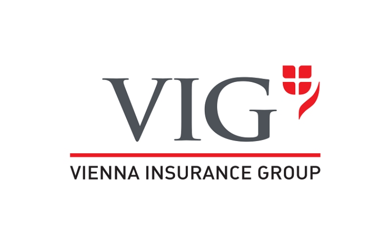 VIG bids for majority stake in Moldasig
