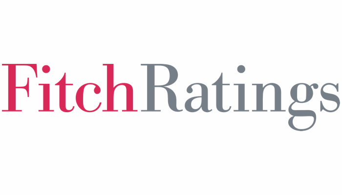 Chinese non-life insurance sector shows resilience amidst market challenges: Fitch Ratings