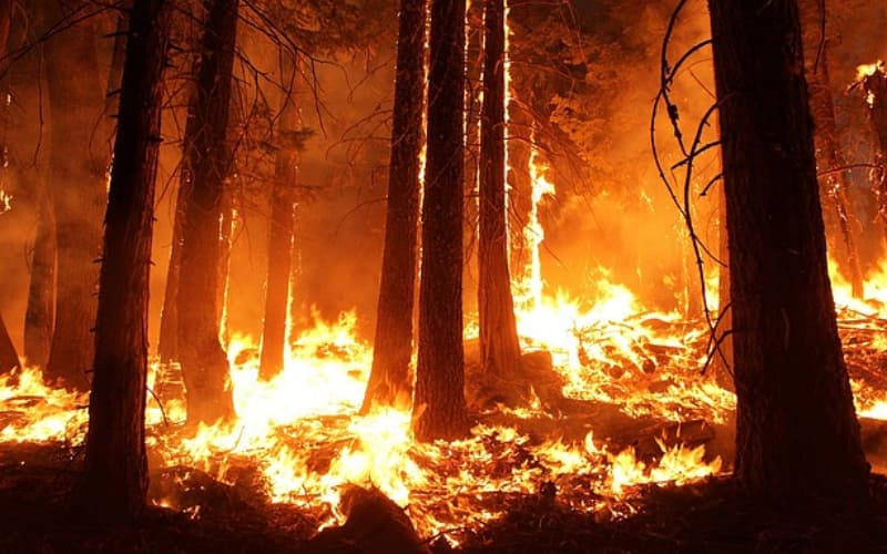 Global insured cat losses could reach $90bn in H1’25, second-highest on record: Jefferies