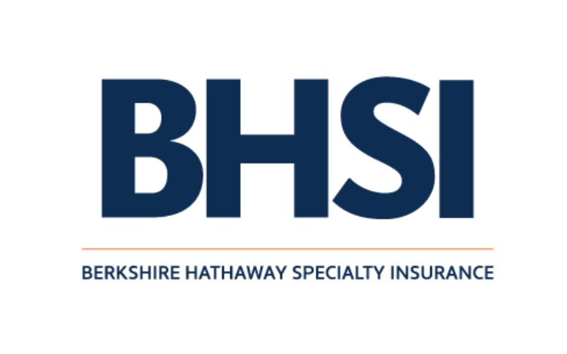 BHSI promotes Theresa Biedermann to SVP, E&P Lines Claims